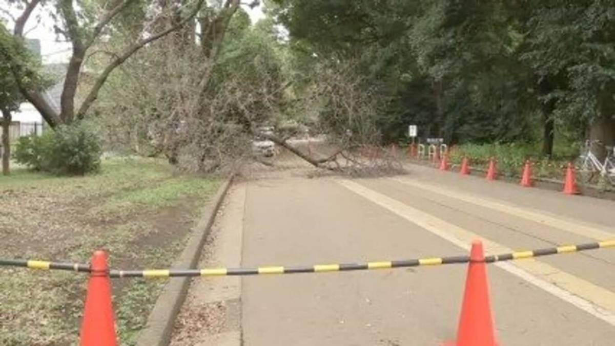 レス1番の画像3