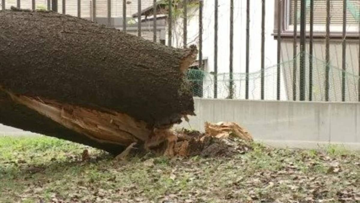 レス1番の画像2