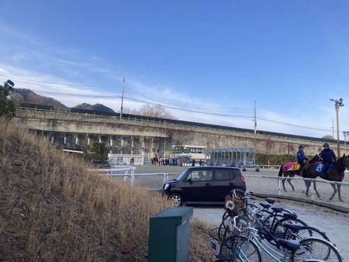 レス1番の画像2